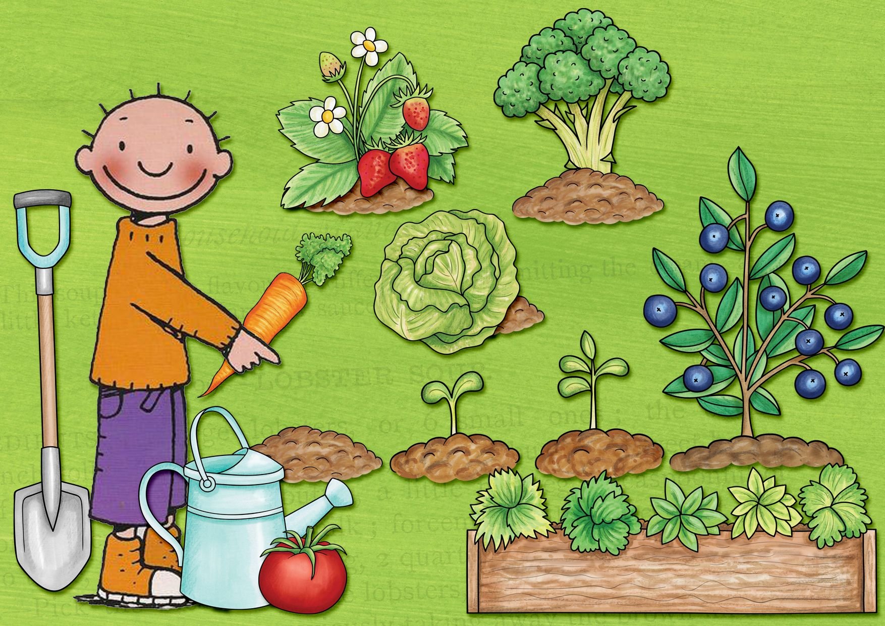 Нарисуем огород там растет два куста ягоды. Огород рисунок. Огород для детей. Рисование огород. Огород картинка для детей.