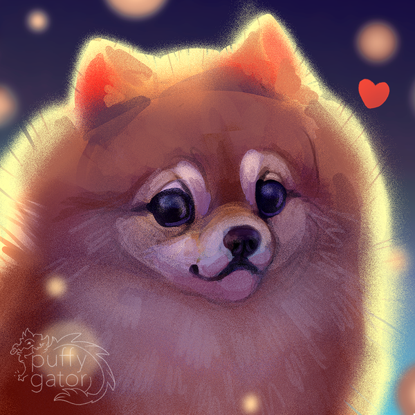 Мультяшные Шпицы