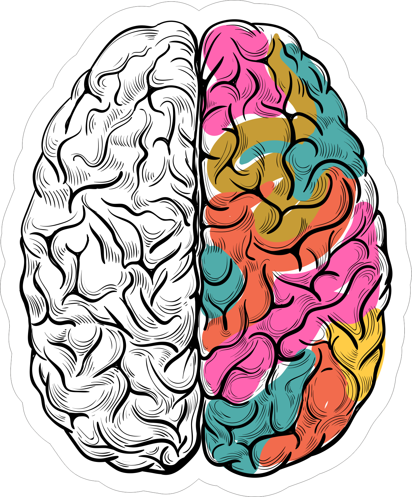 Картинка полушарие мозга. Мозг рисунок. Разноцветный мозг.