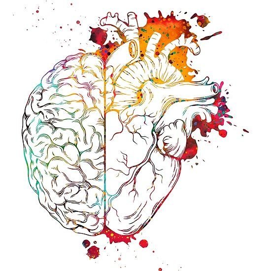 Мозг человека арт акварель