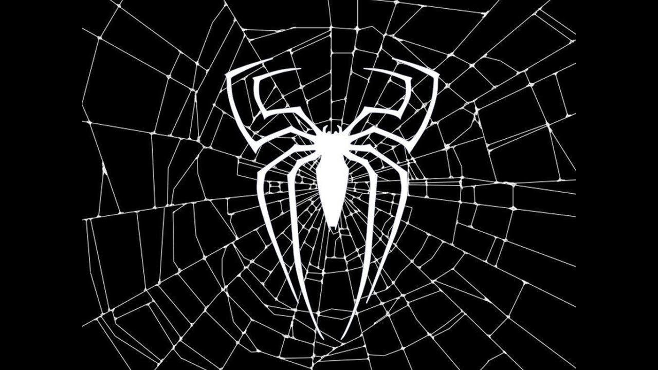 Паук на черном фоне. Паук черно белый. Паук на паутине. Паутина человека паука.