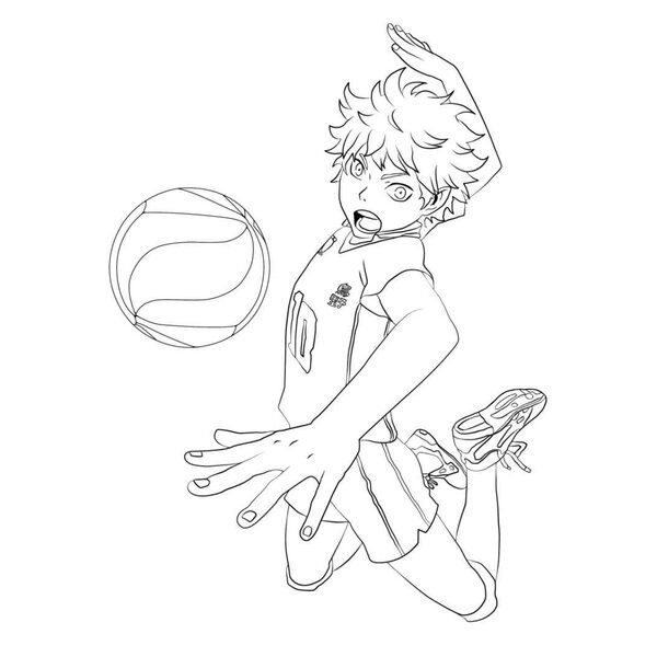 Хината шоё черно белый