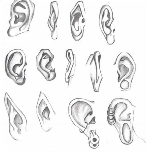 Ухо референс