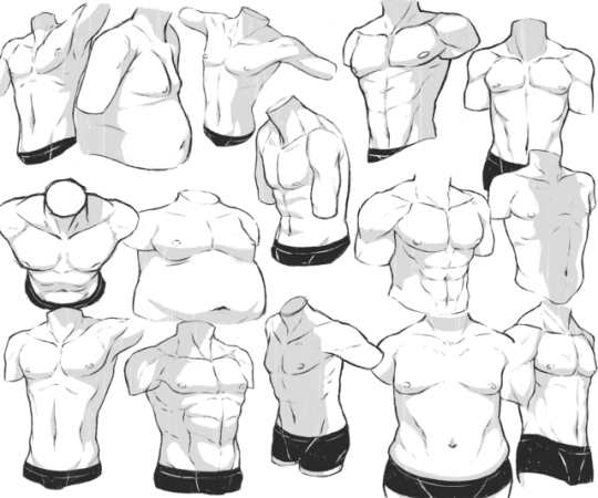 Мужской торс с разных ракурсов