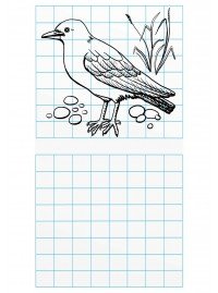 Ворона по клеточкам