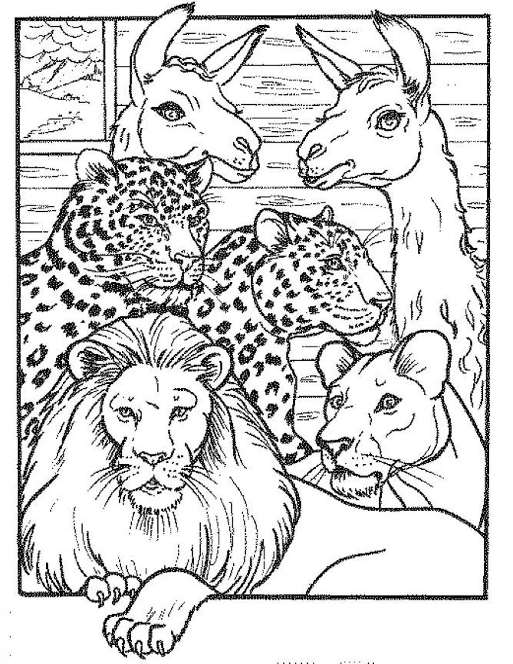 Раскраска зоопарк с животными