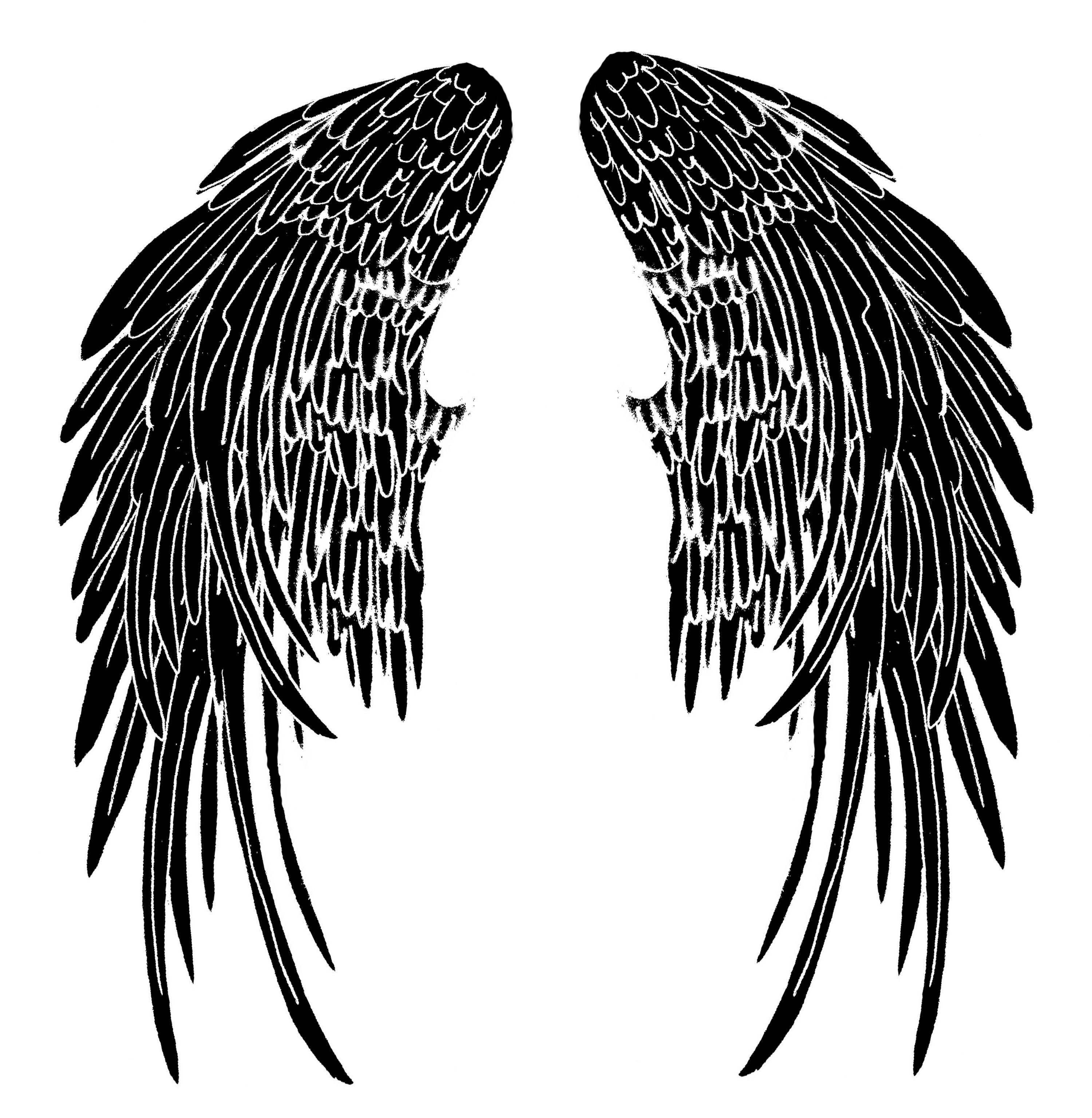 Крылья на черном фоне. Крылья рисунок. Эскизы татуировок Крылья. Крылья тату эскиз. Крылья ангела.