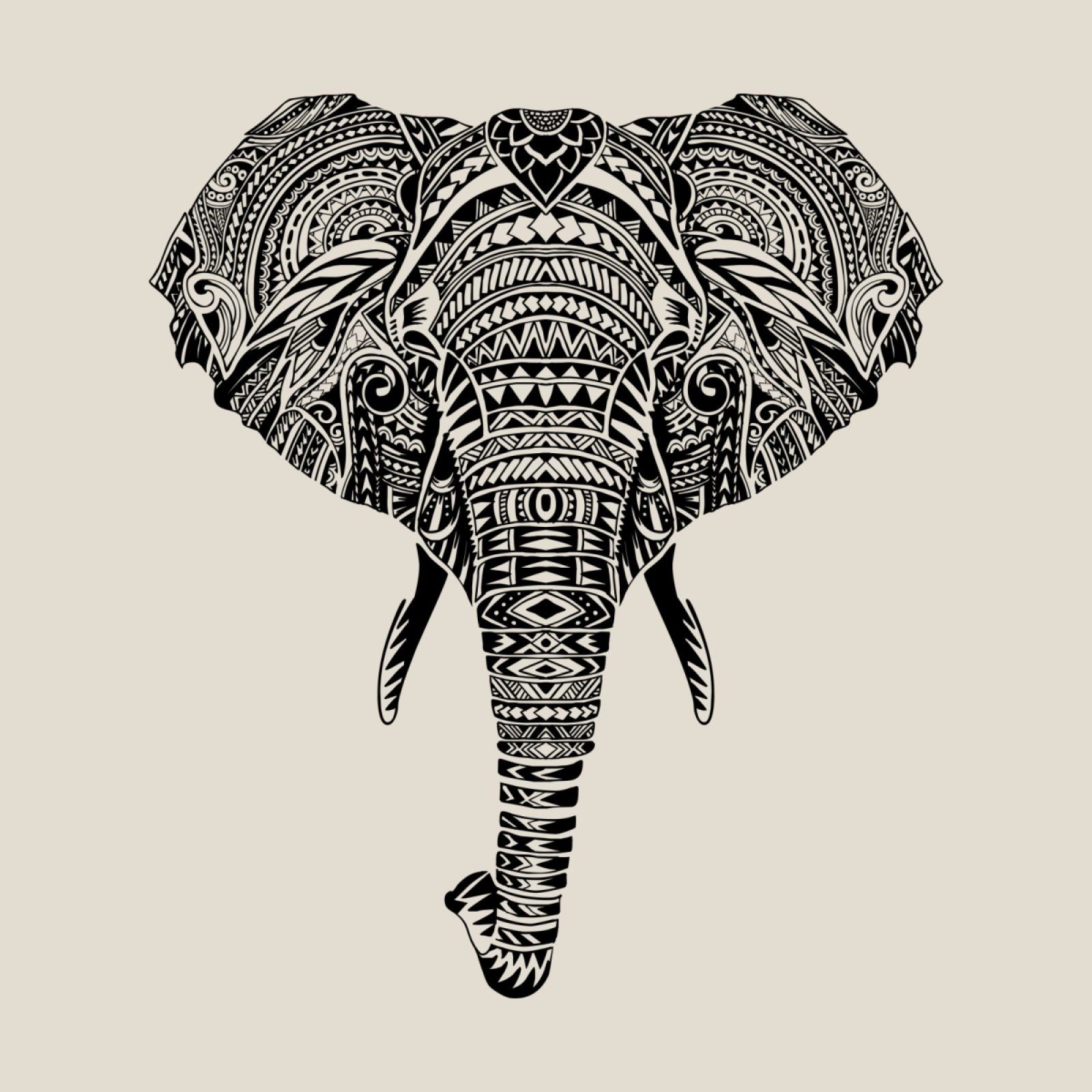 Слон Полинезия