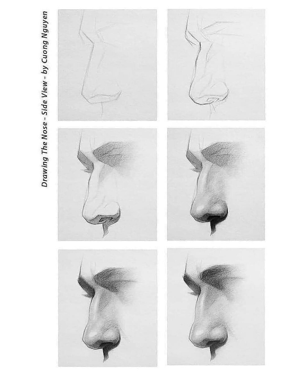 Зарисовки носа