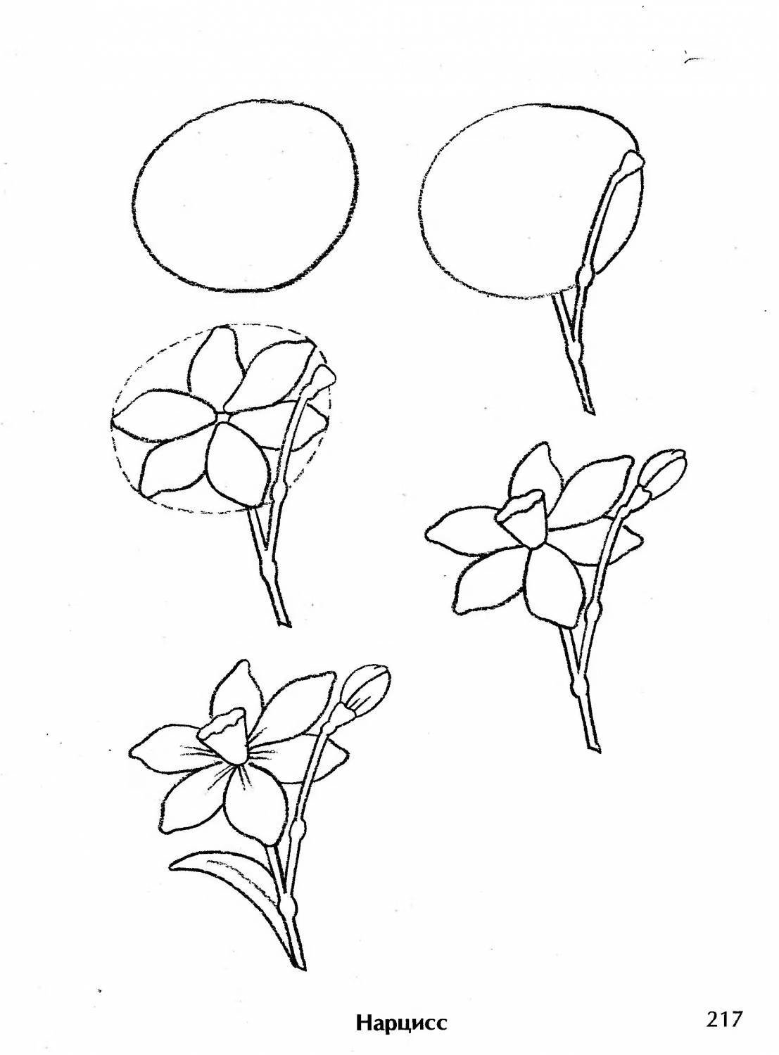 Как можно нарисовать цветок. Лёгкие цветы для рисования. Поэтапное рисование цветка. Цветы рисунок карандашом. Поэтапное рисование цветы карандашом.