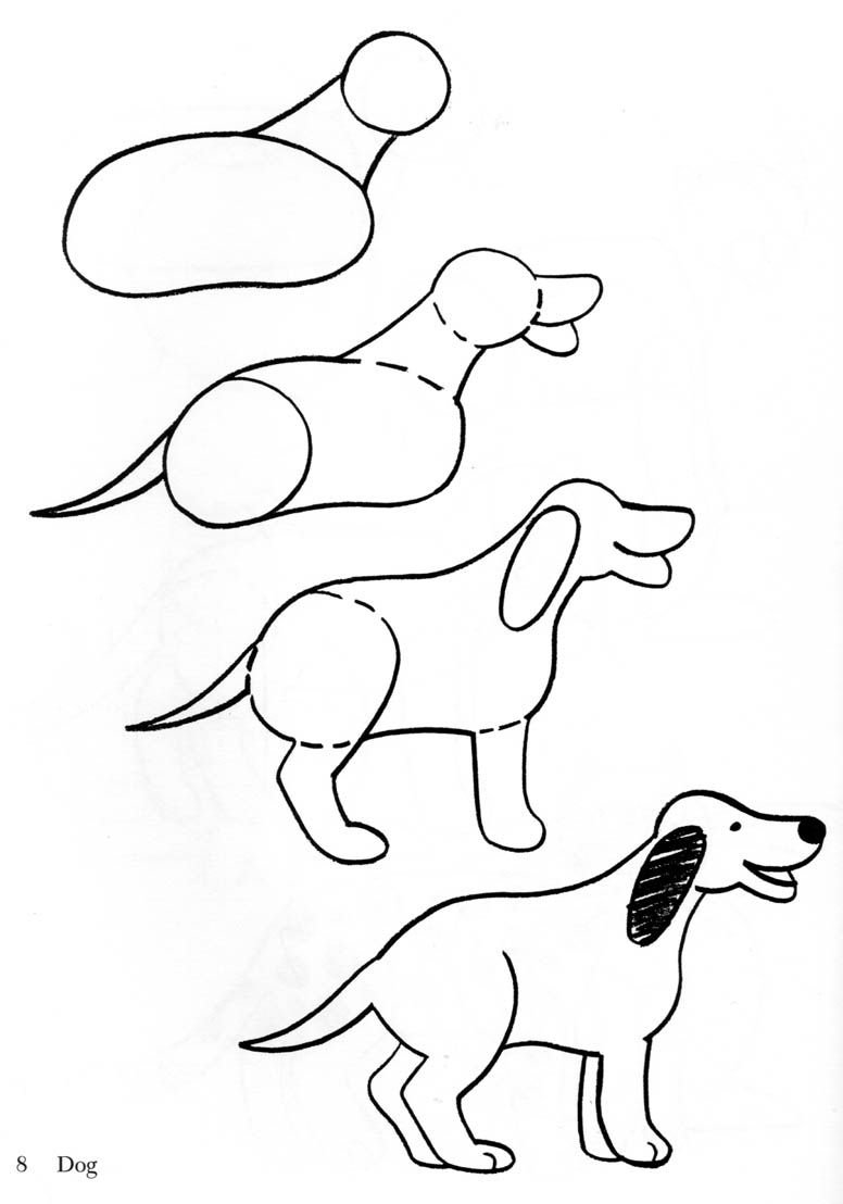 Нарисовать собаку карандашом легко и красиво. Как нарисовать собаку пошагово для детей. Собака рисунок. Схема рисования собаки для детей. Пошаговое рисование собаки для детей.