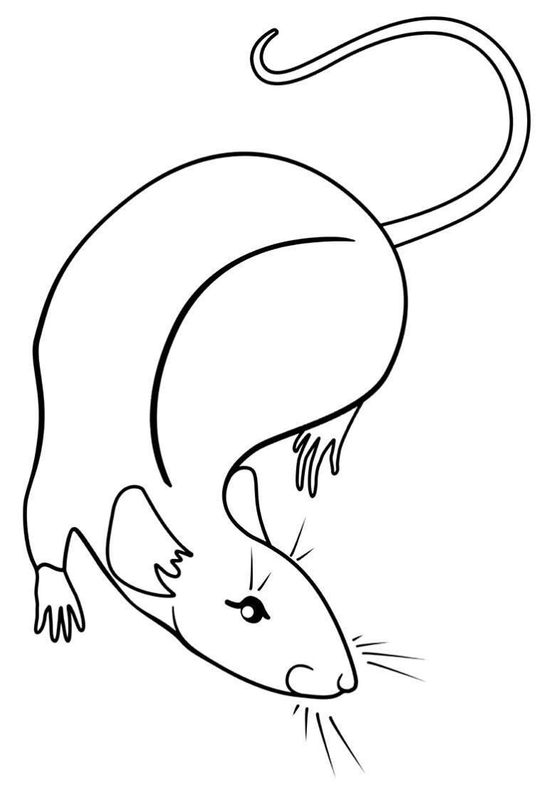 Графическая крыса