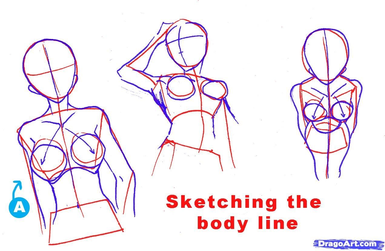 как нарисовать грудь женщин фото 11