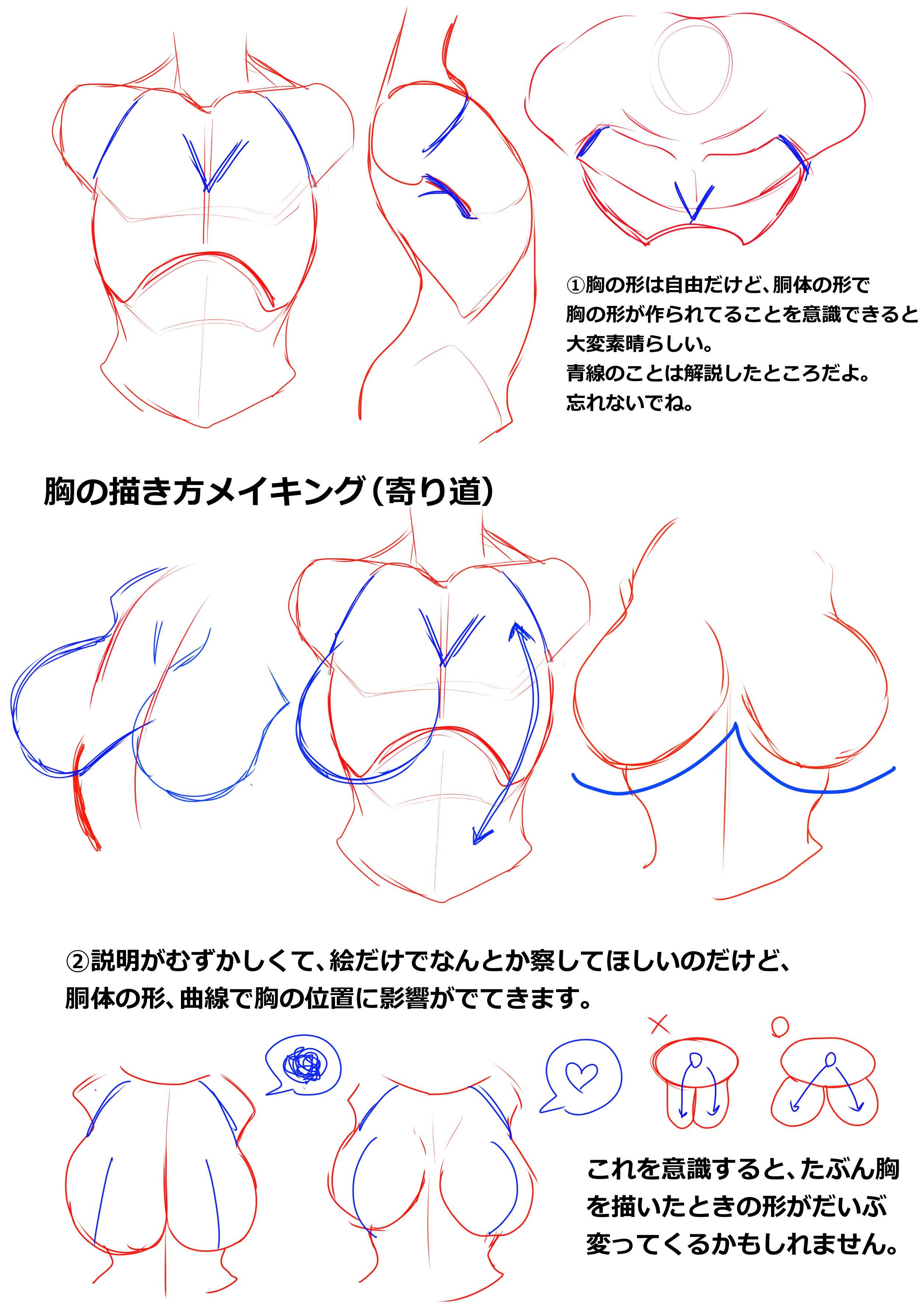как нарисовать грудь как у аниме фото 13