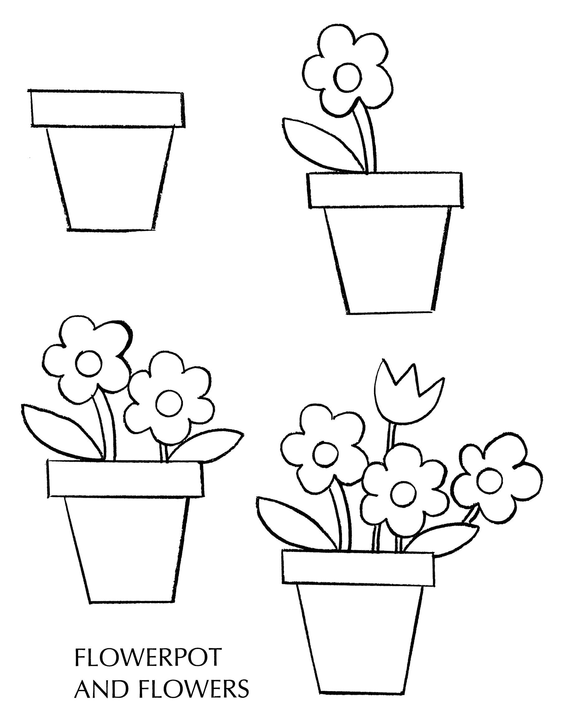 Рисование комнатные растения старшая группа