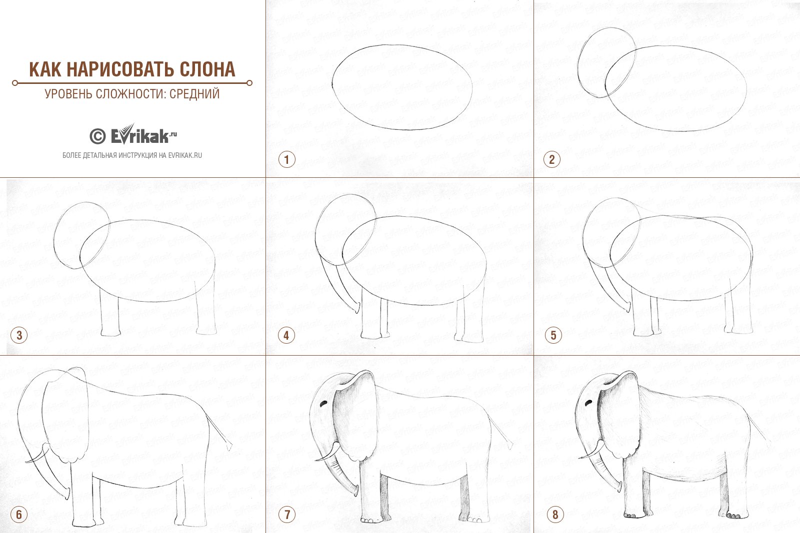 Нарисовать слона поэтапно