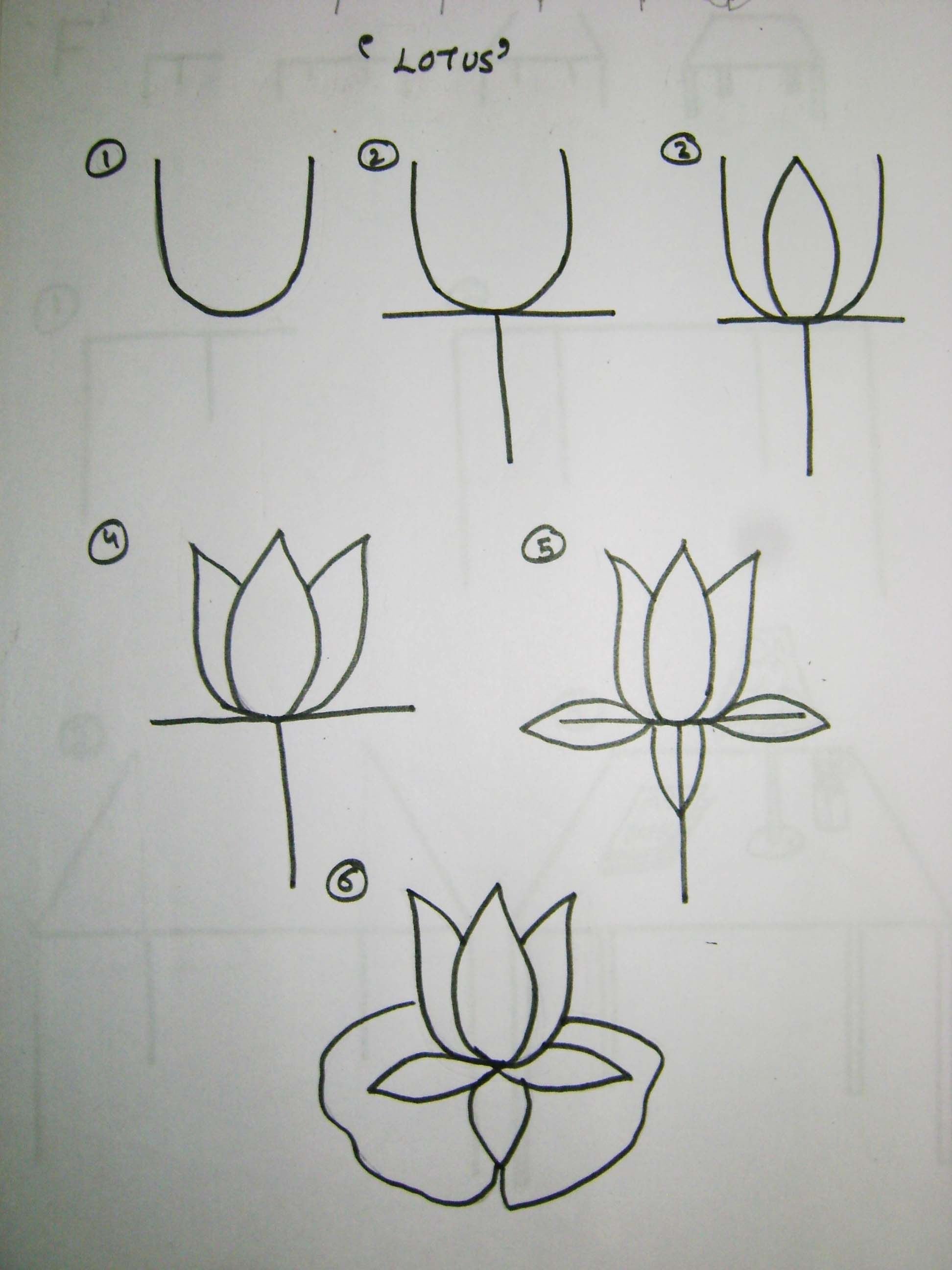 Как можно нарисовать цветок. Цветы карандашом для срисовки легкие. Поэтапное рисование цветка. Простые цветы для рисования. Простые рисунки для начинающих.
