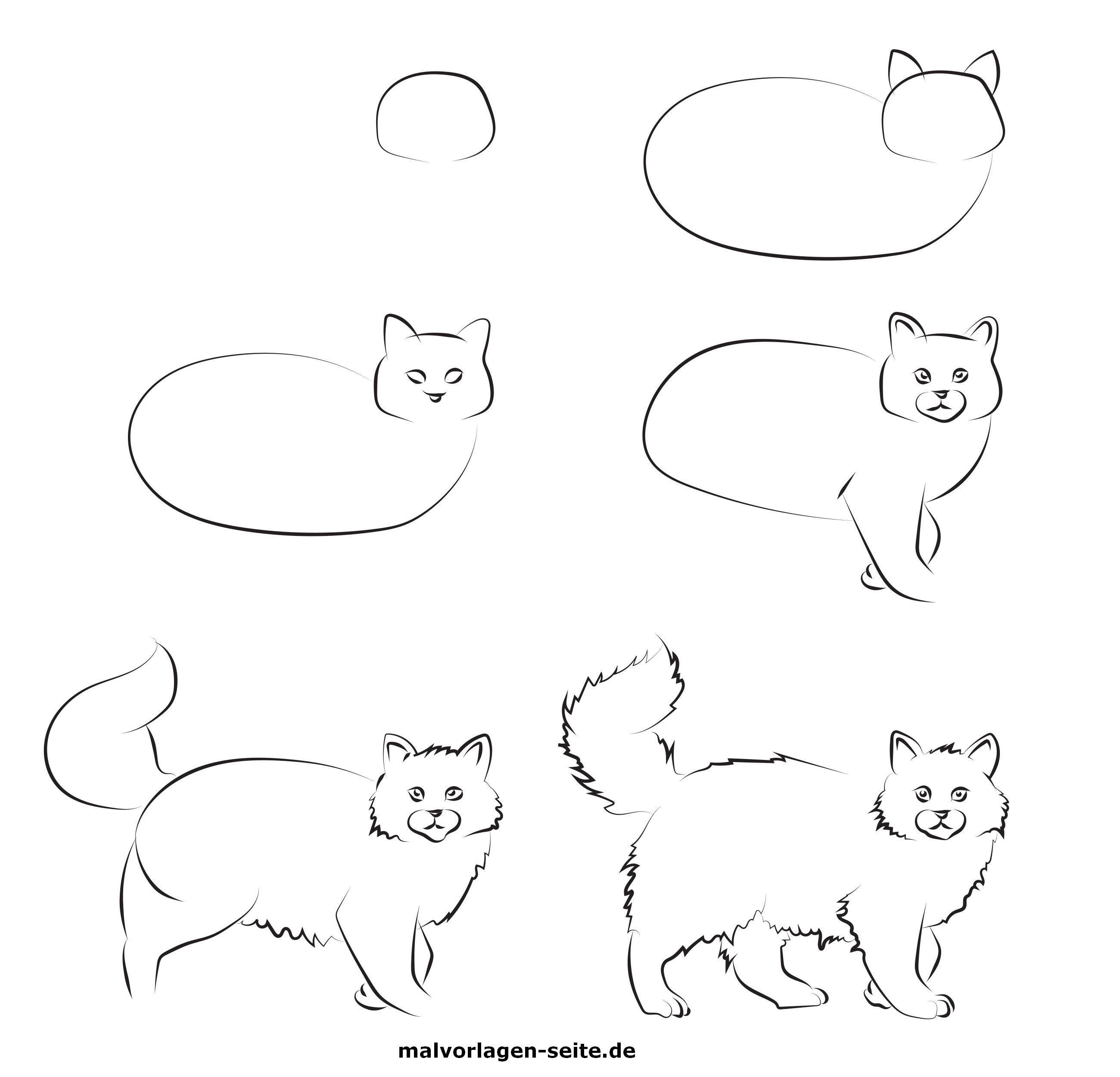 Как нарисовать кота поэтапно для детей. Этапы рисования кошки. Кошка для рисования для детей. Этапы рисования кошки для дошкольников. Поэтапное рисование кошки для детей.