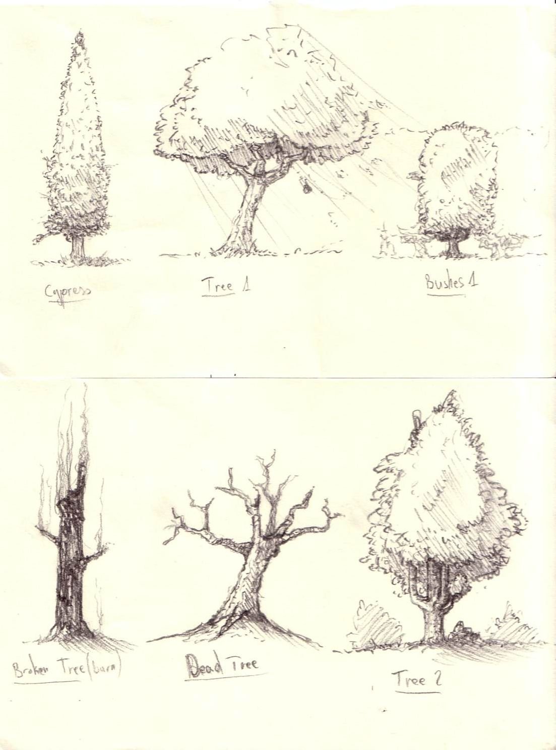 Зарисовки деревьев и кустарников