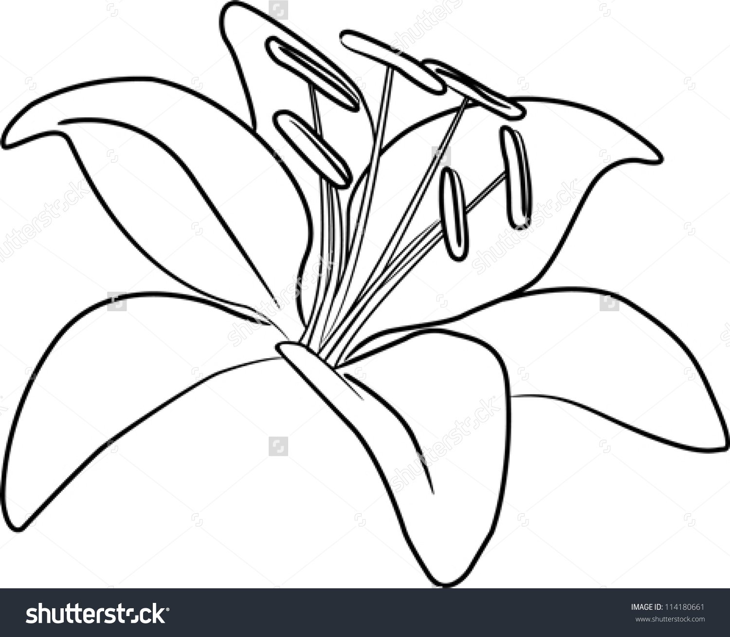 Схематичное изображение лилии