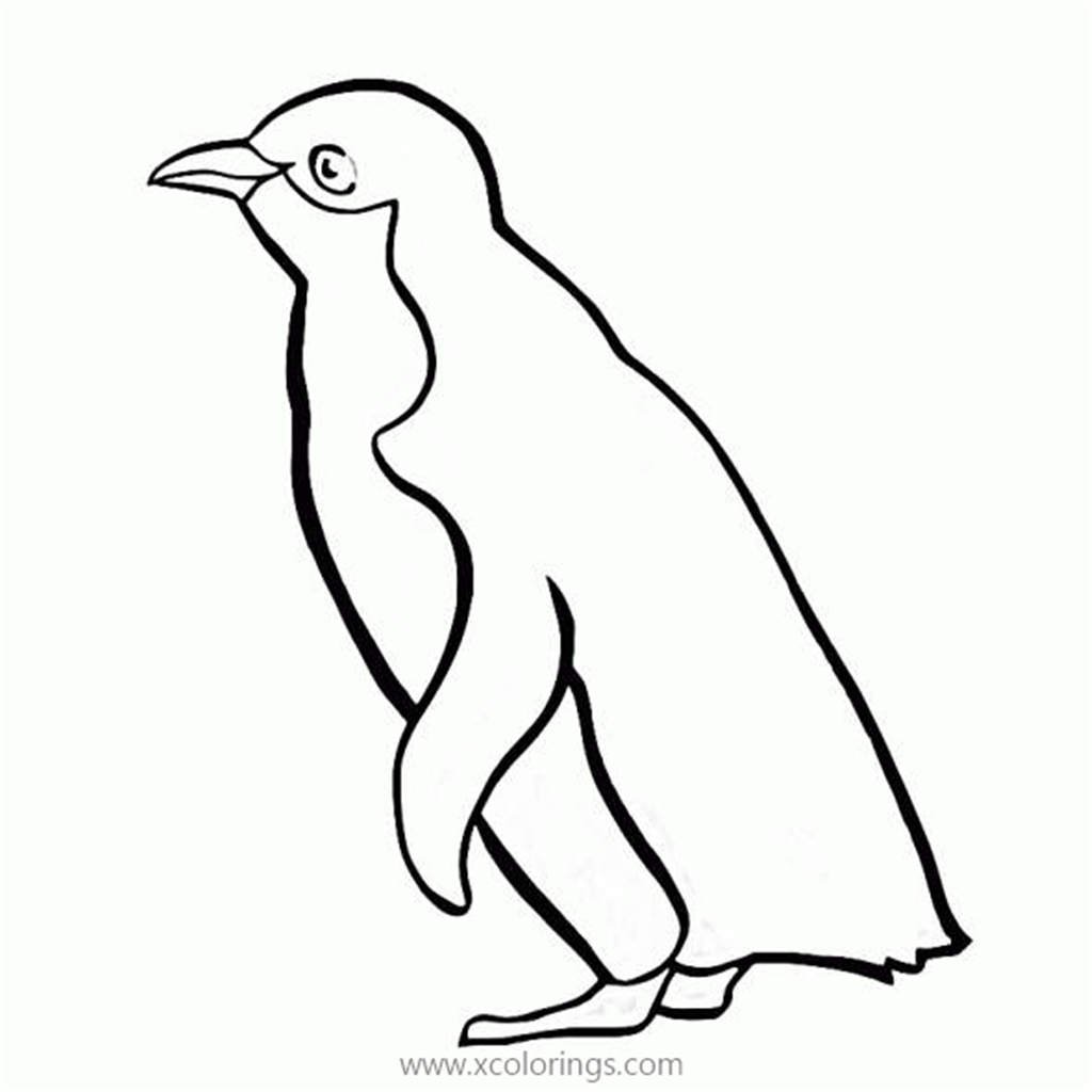 Белый Пингвин раскраска