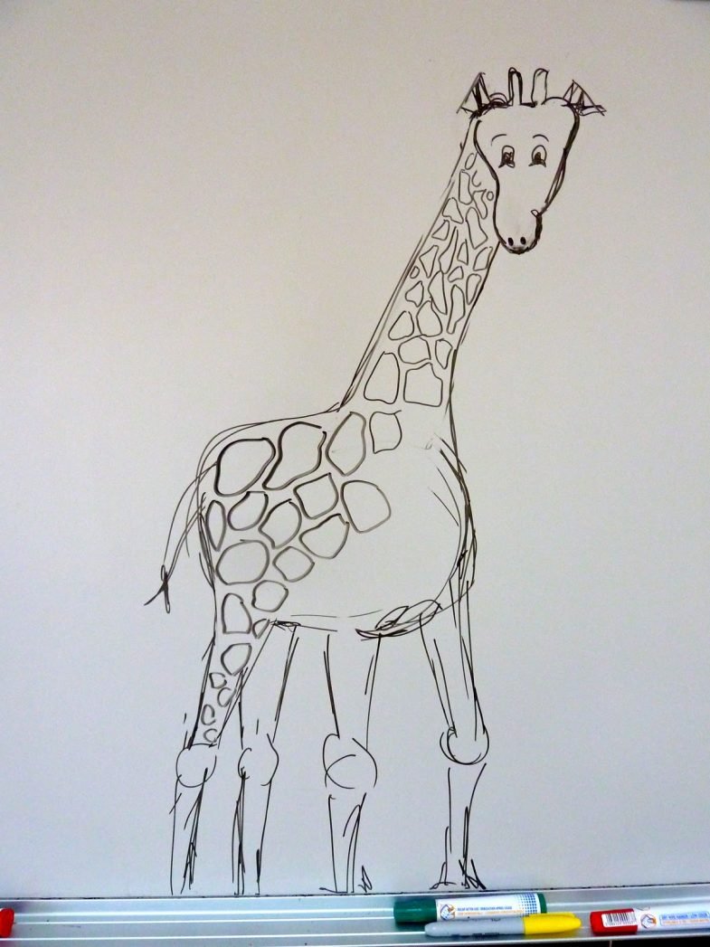 Жираф рисунок карандашом для срисовки