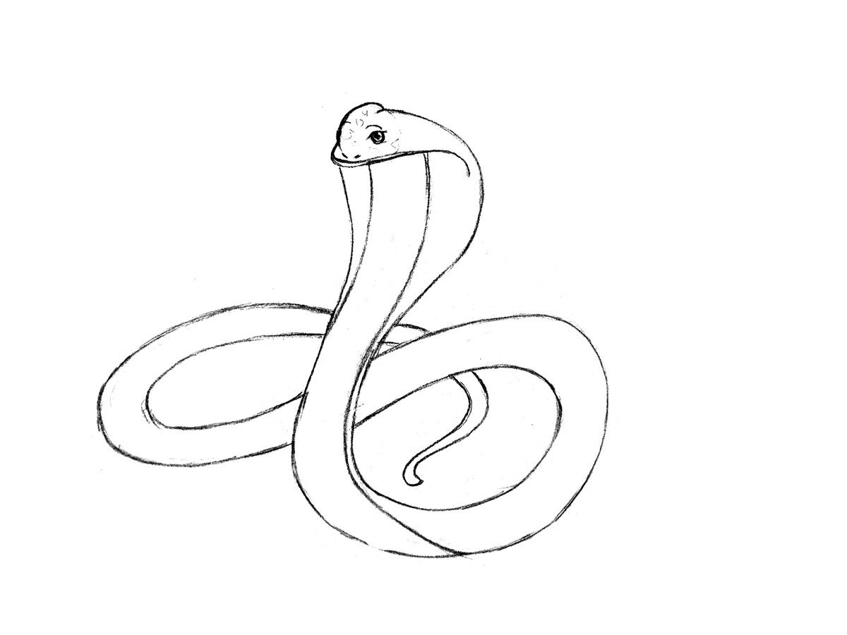 Легкая змейка. Змея рисунок. Картинки для срисовки змея. Нарисовать змею. Рисунки для срисовки змея.