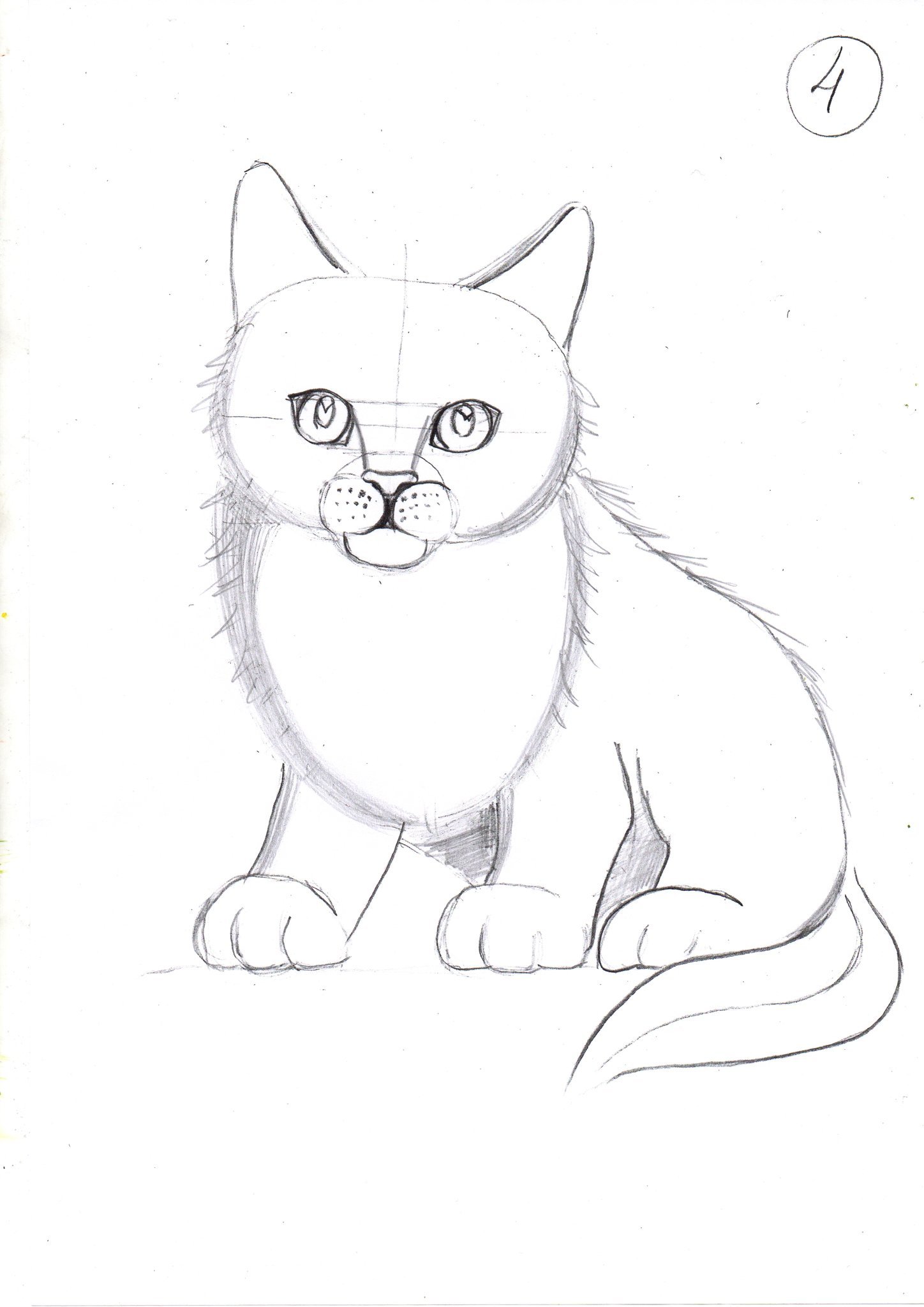 Рисунок карандашом для начинающих легкий 10 лет. Картинки для рисования карандашом. Рисунки для срисовки карандашом животные. Рисунок кошки карандашом для срисовки. Рисунки животных для срисовки лёгкие.
