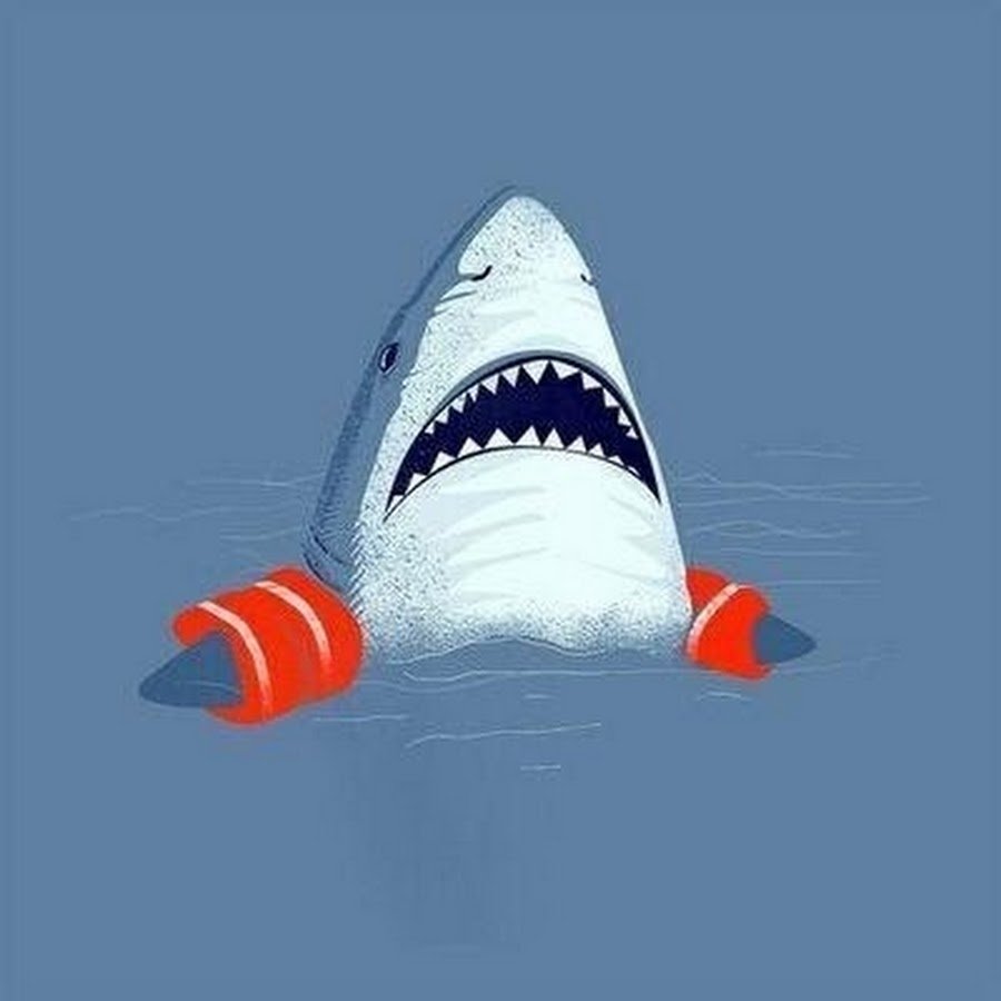 Прикольные картинки с акулами