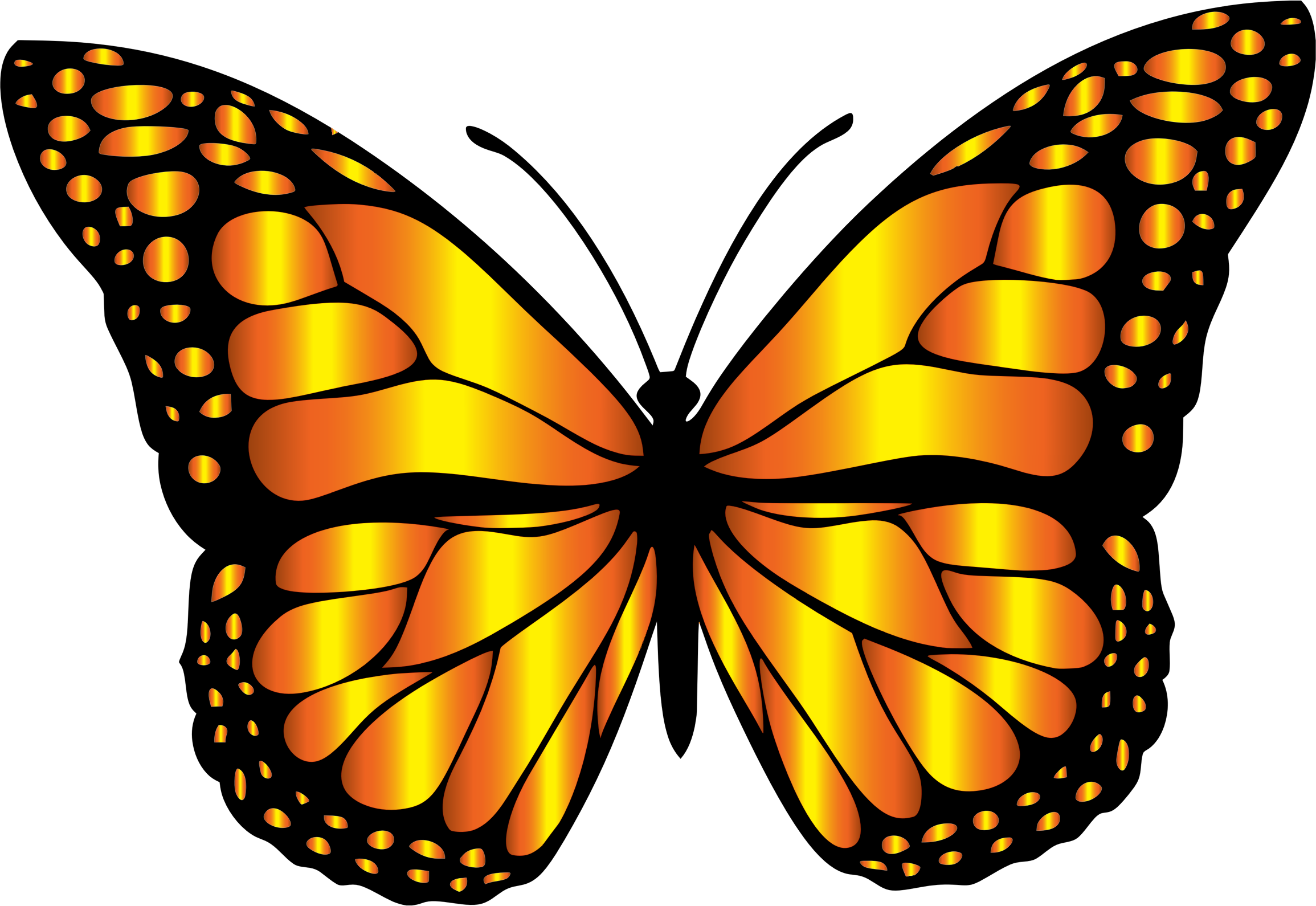 Пнг изображения. Бабочка рисунок. Бабочки рисунки цветные. Бабочка черно белая. Бабочка вектор.