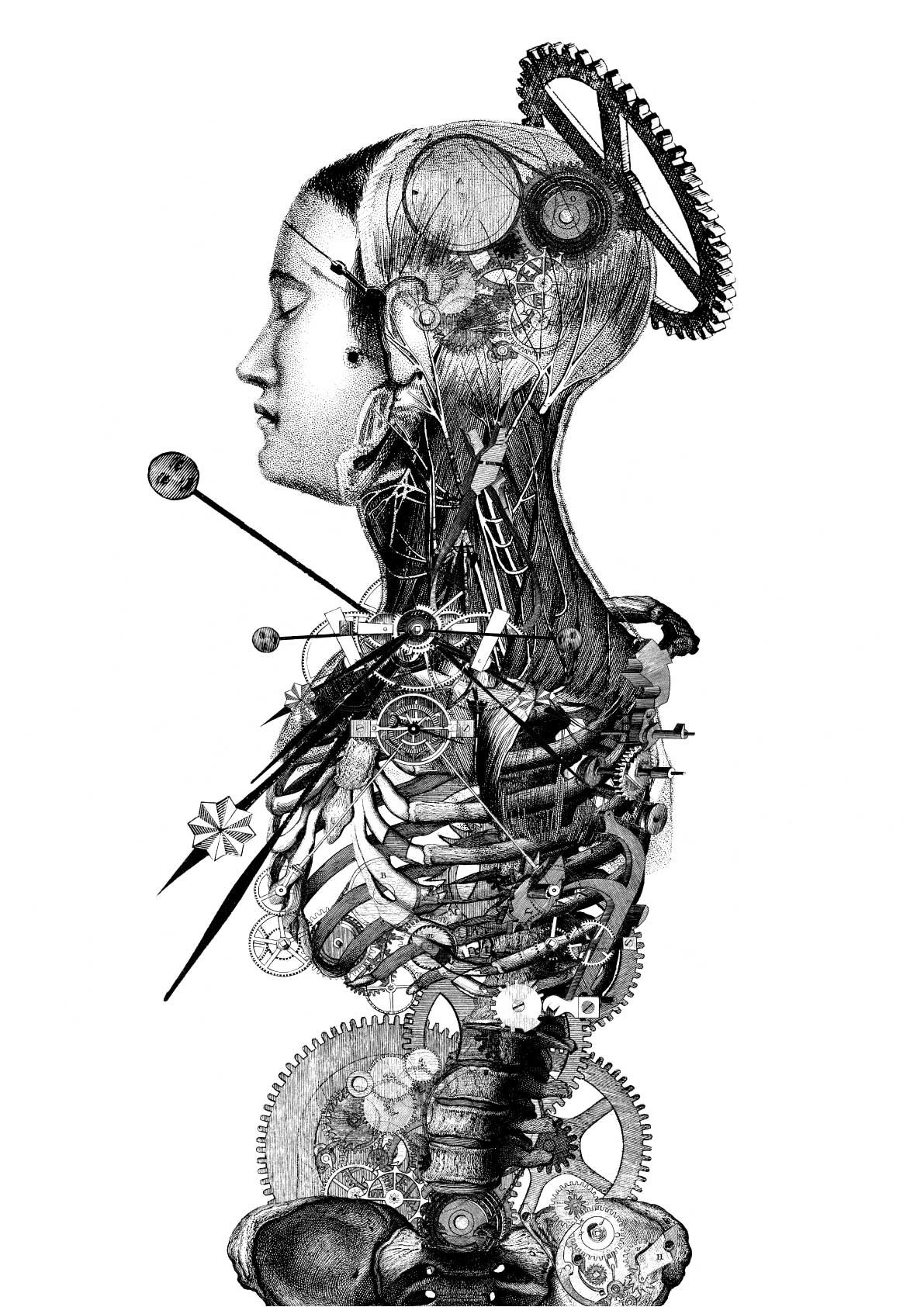 Стилизованная человеческая анатомия человека