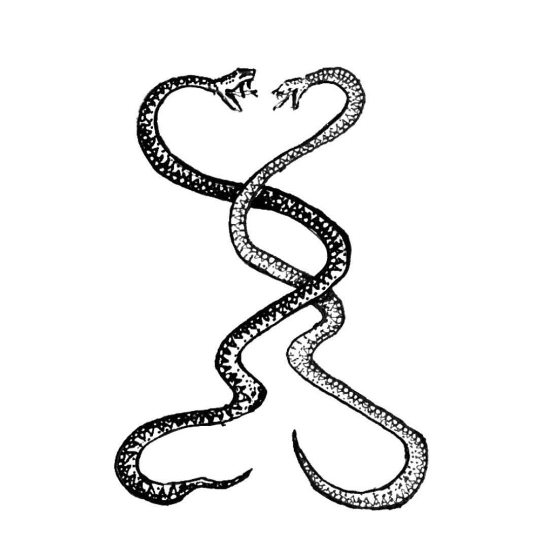 Змея проси