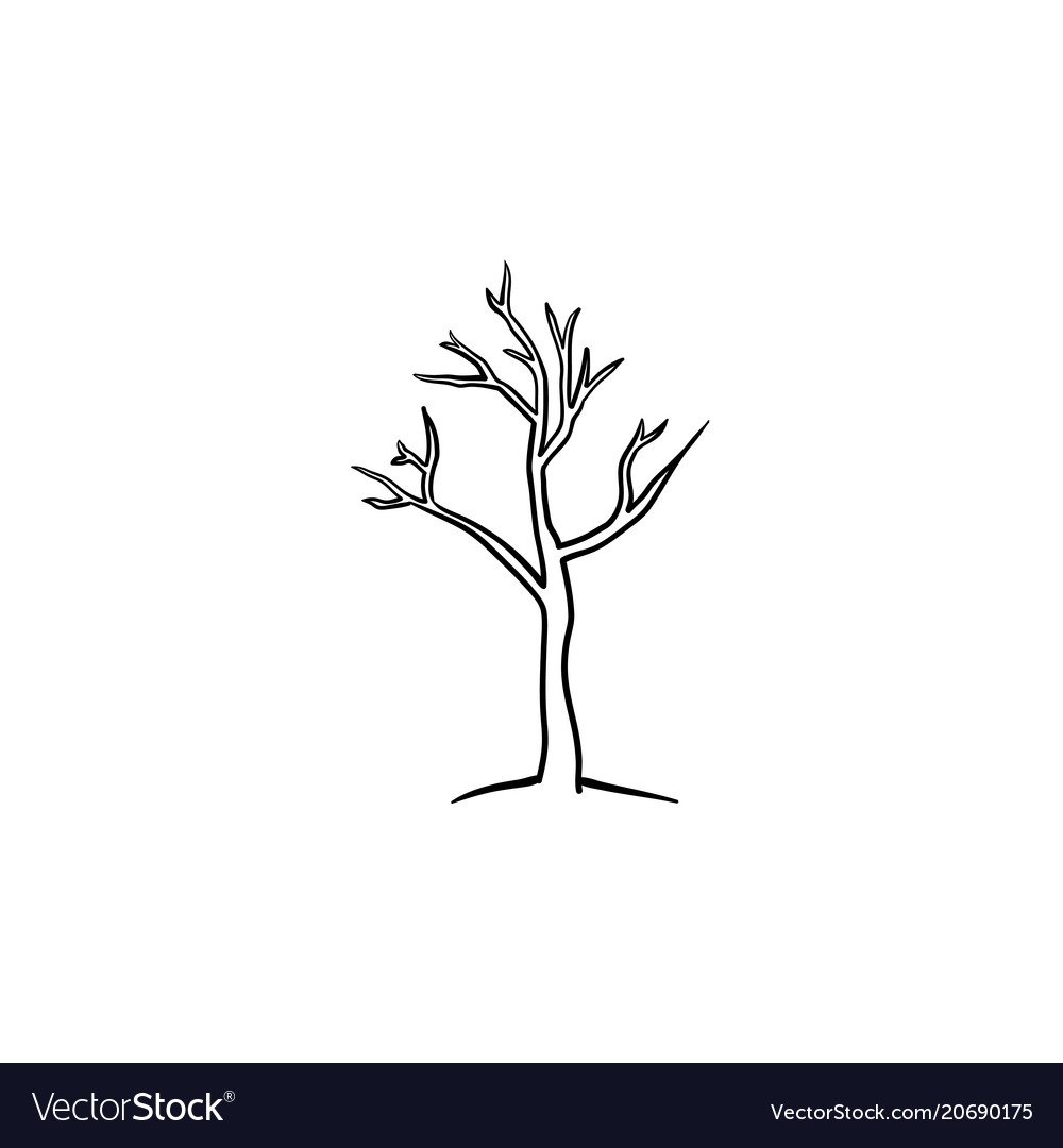 Сухое дерево раскраска