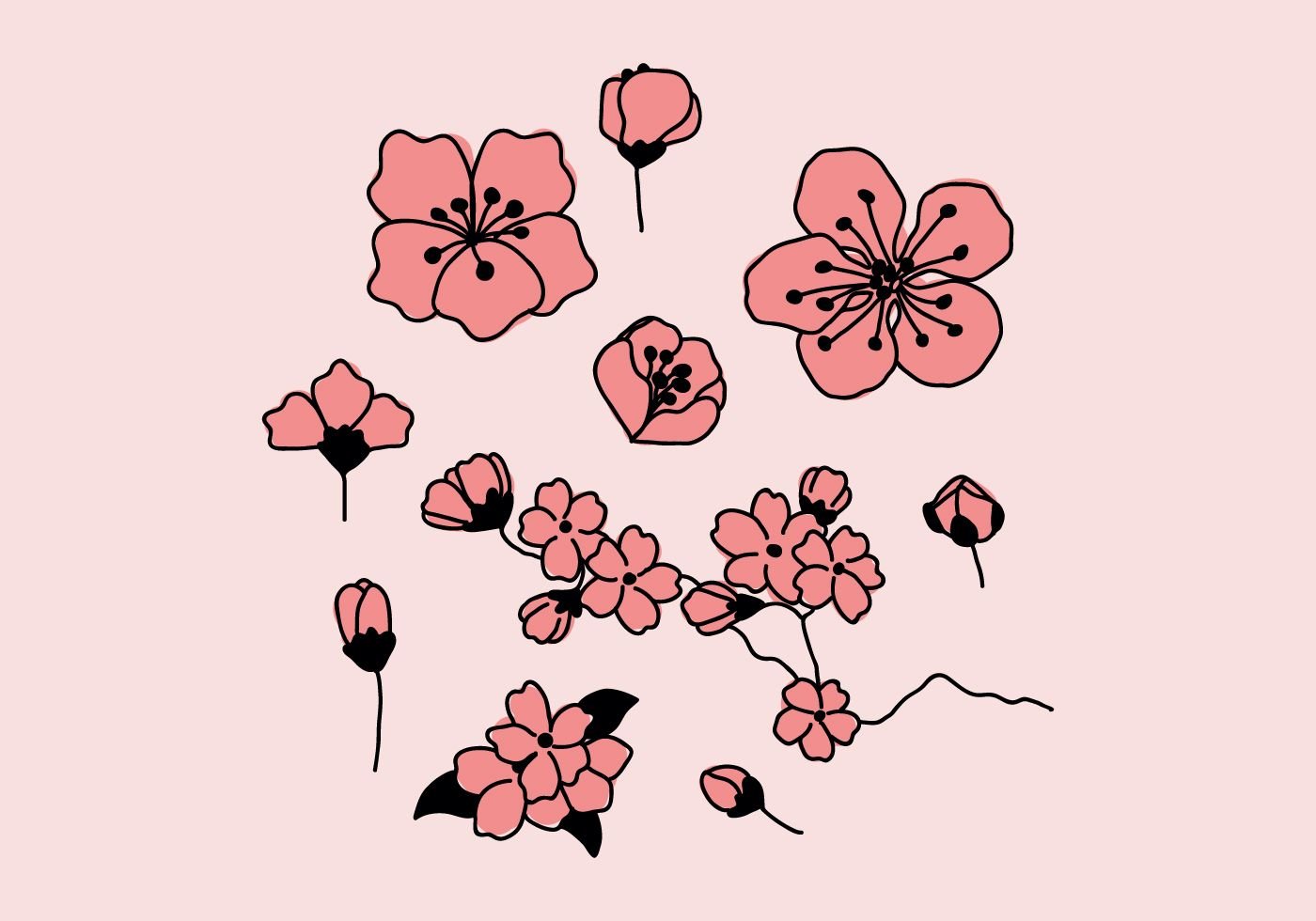 Нарисованные цветы Сакуры
