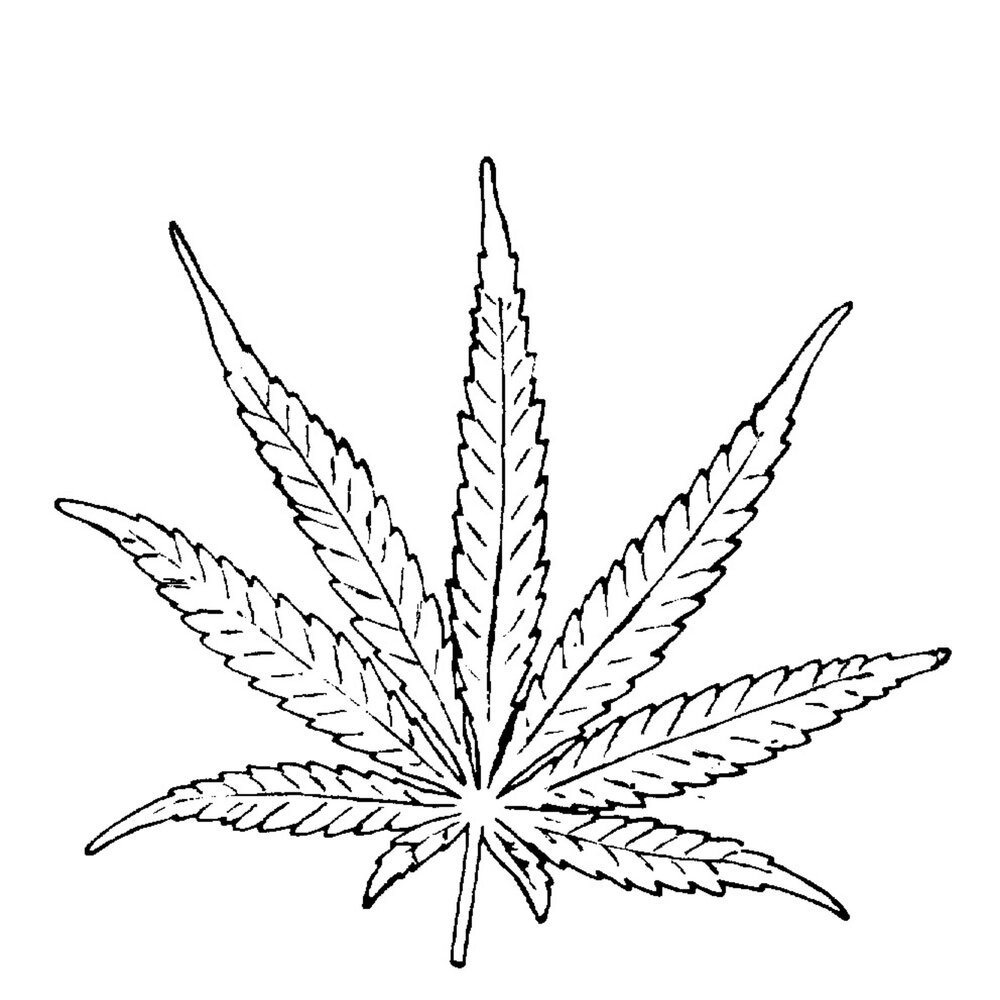 Все рисунки конопли майорка марихуаны