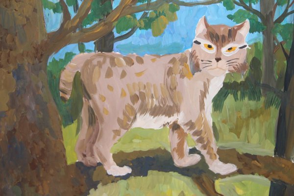 Животный мир Сурского края