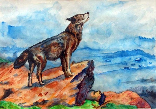 Волк рисунок для детей