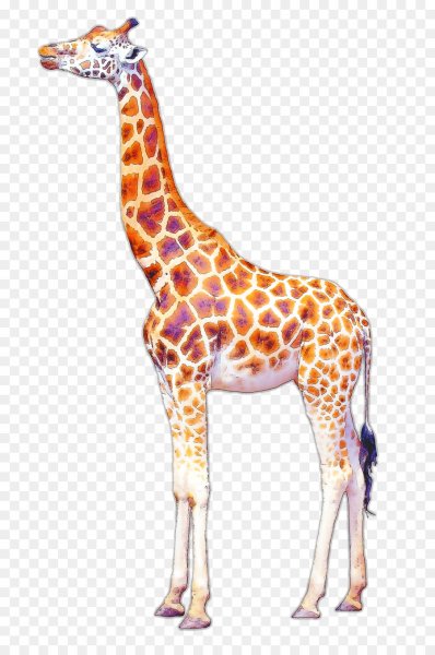 Жирафы мультяшные