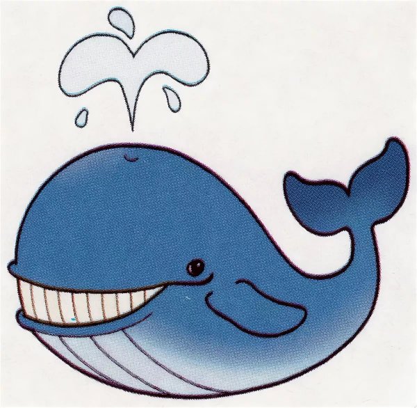 Кит для распечатки