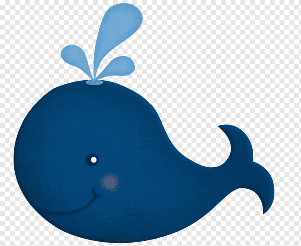 Кит для детей