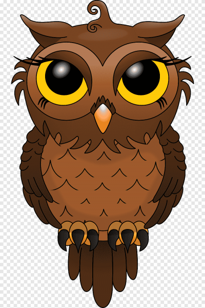 Правополушарное рисование Сова