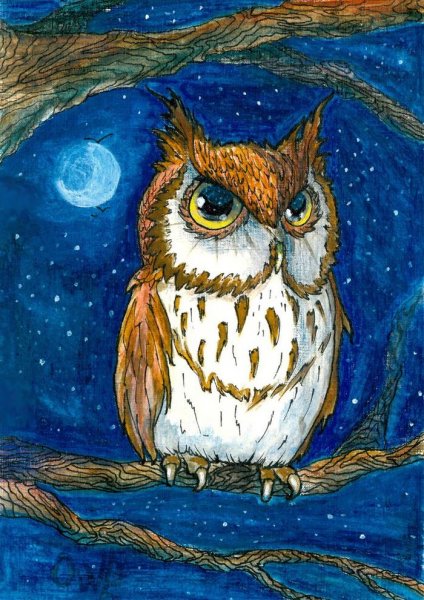 Рисование с детьми Сова