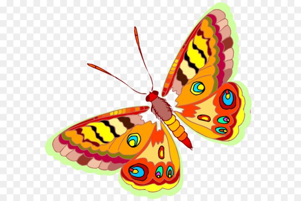 Рисование бабочки