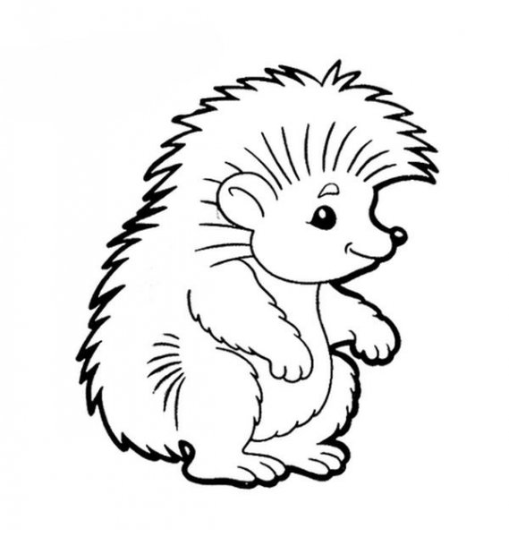 Ежик раскраска