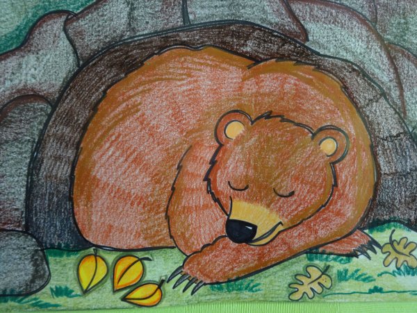 Детские рисунки медведя