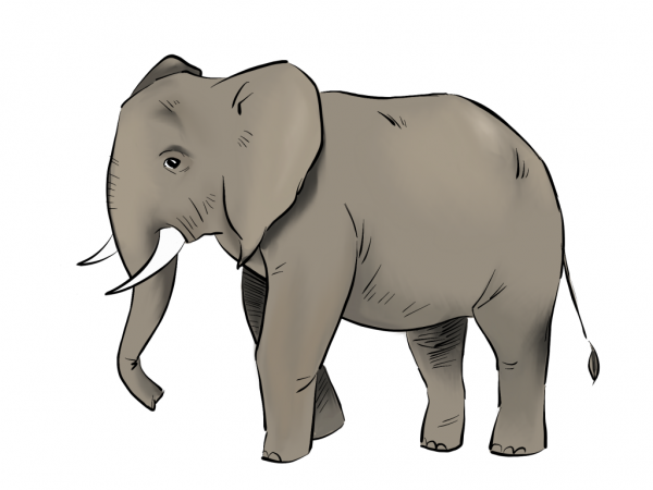 Слон рисунок