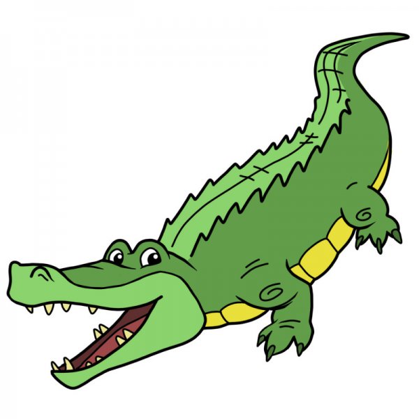Крокодил зеленый