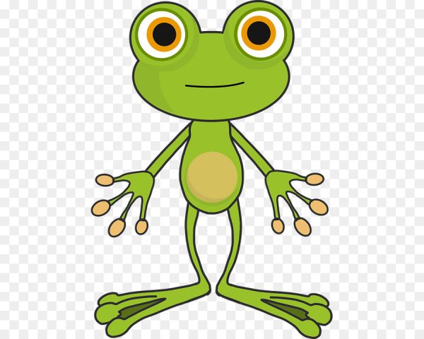 Лягушка Картун
