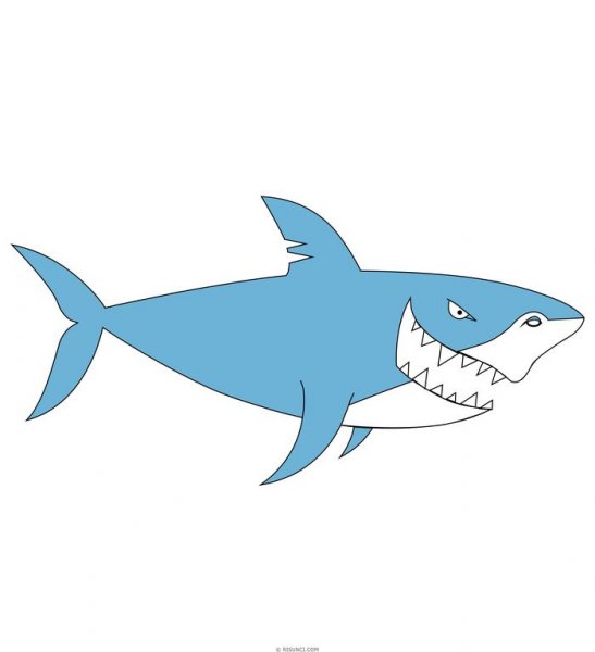 Акула рисунок