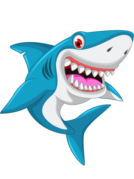 Акула на белом фоне